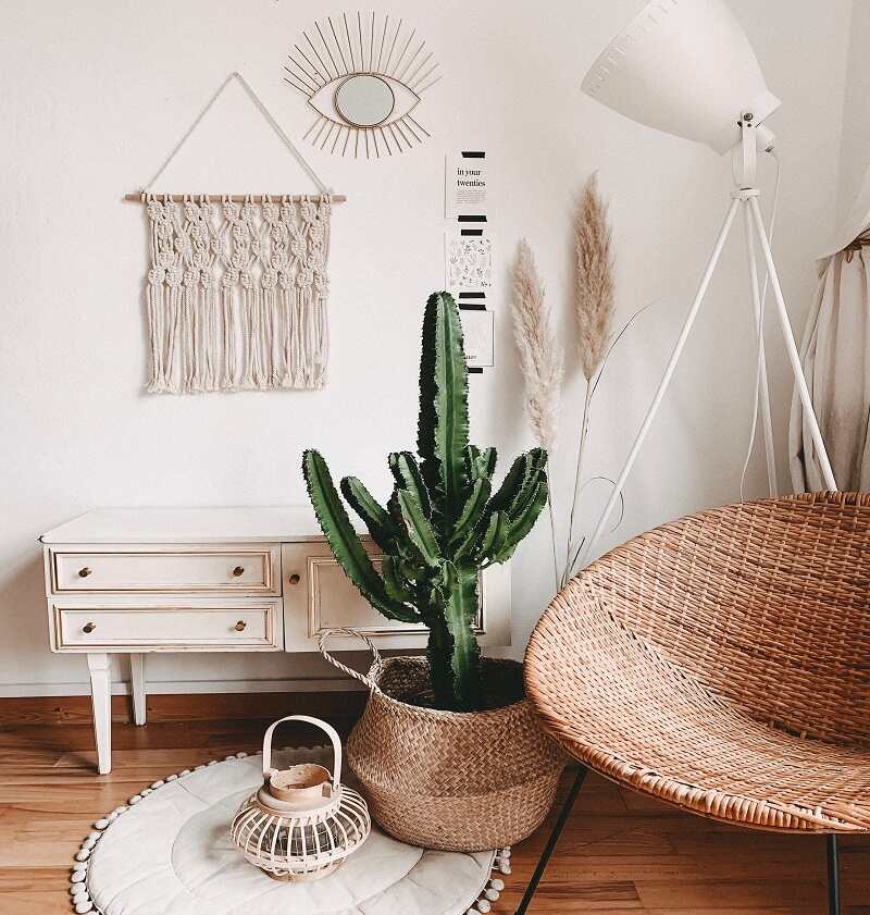 Bohemian decor with plants, macrame hanging, wooden table and rug